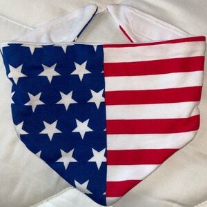 NWOT never used American flag baby bib with Velcro One Size